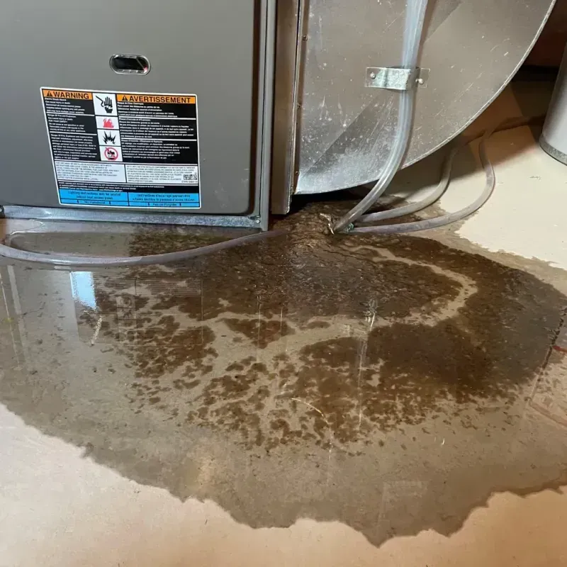 Appliance Leak Cleanup in Yanceyville, NC